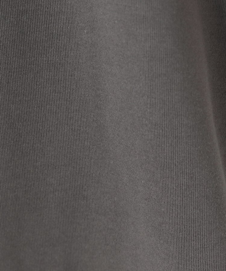 ポーシャル(poushal)の【洗える】フレンチスリーブ＆ちょびハイネックTシャツ19