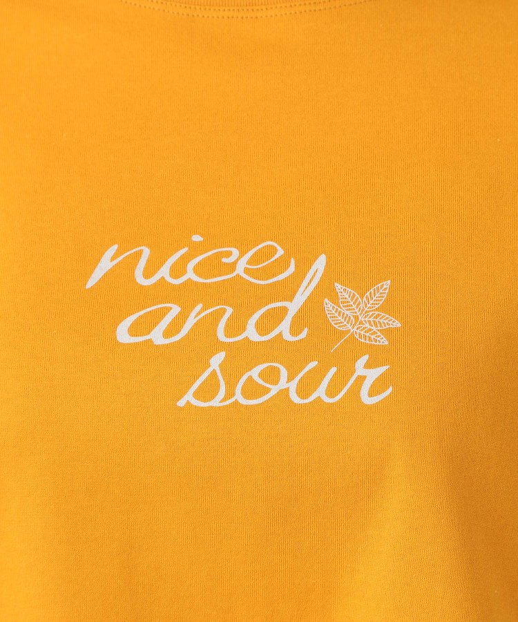 ポーシャル(poushal)の【洗える・五分袖】ロゴカラーTシャツ18