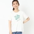 コルディア(CORDIER)のフラワーモチーフ スパンコール＆刺繍Tシャツ ホワイト(002)