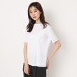 コルディア(CORDIER)のNEWベーシックTシャツ ホワイト(001)