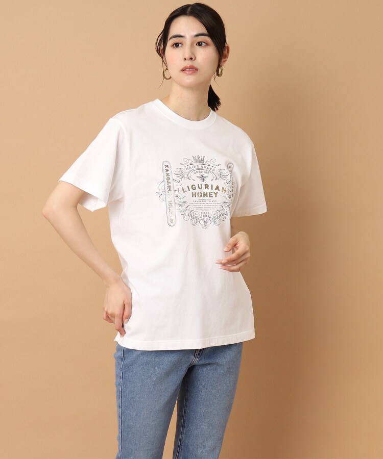 ドレステリア(レディース)(DRESSTERIOR(Ladies))の【コラボアイテム】MAINE BEACH(マインビーチ)×DRESSTERIOR Tシャツ9