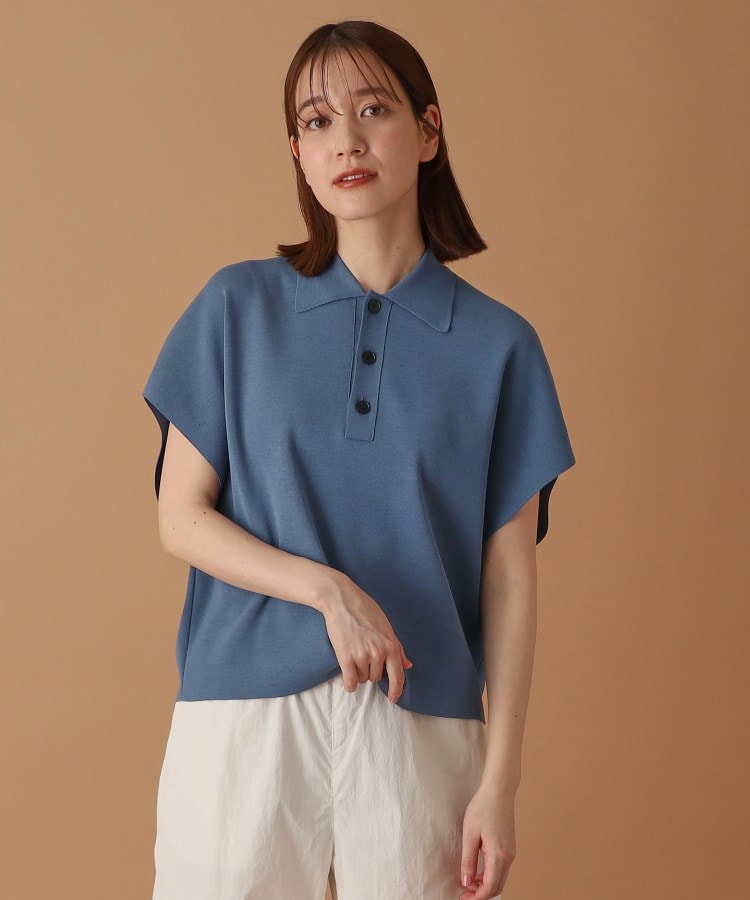 ドレステリア(レディース)(DRESSTERIOR(Ladies))の◆AURALEE（オーラリー）WOOL RECYCLE POLYESTER HIGH GAUGE KNIT SLEEVELESS POLO1