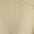ドレステリア(レディース)(DRESSTERIOR(Ladies))のAURALEE（オーラリー）ハーフスリーブスウェットPO15