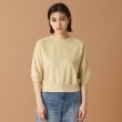 ドレステリア(レディース)(DRESSTERIOR(Ladies))のAURALEE（オーラリー）ハーフスリーブスウェットPO16
