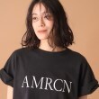 ドレステリア(レディース)(DRESSTERIOR(Ladies))のAmericana（アメリカーナ）袖ロールTシャツ14