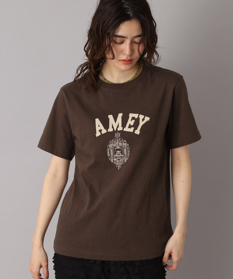 ドレステリア(レディース)(DRESSTERIOR(Ladies))のAmericana（アメリカーナ）【別注】カレッジTシャツ5