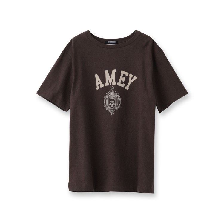 ドレステリア(レディース)(DRESSTERIOR(Ladies))のAmericana（アメリカーナ）【別注】カレッジTシャツ Ｔシャツ