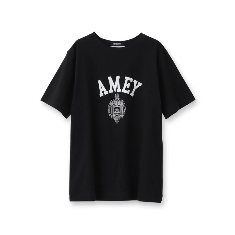 ドレステリア(レディース)(DRESSTERIOR(Ladies))のAmericana（アメリカーナ）【別注】カレッジTシャツ Ｔシャツ