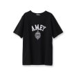 ドレステリア(レディース)(DRESSTERIOR(Ladies))のAmericana（アメリカーナ）【別注】カレッジTシャツ ブラック(019)