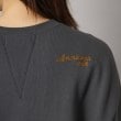 ドレステリア(レディース)(DRESSTERIOR(Ladies))のAmericana（アメリカーナ）ロゴスウェットプルオーバー13