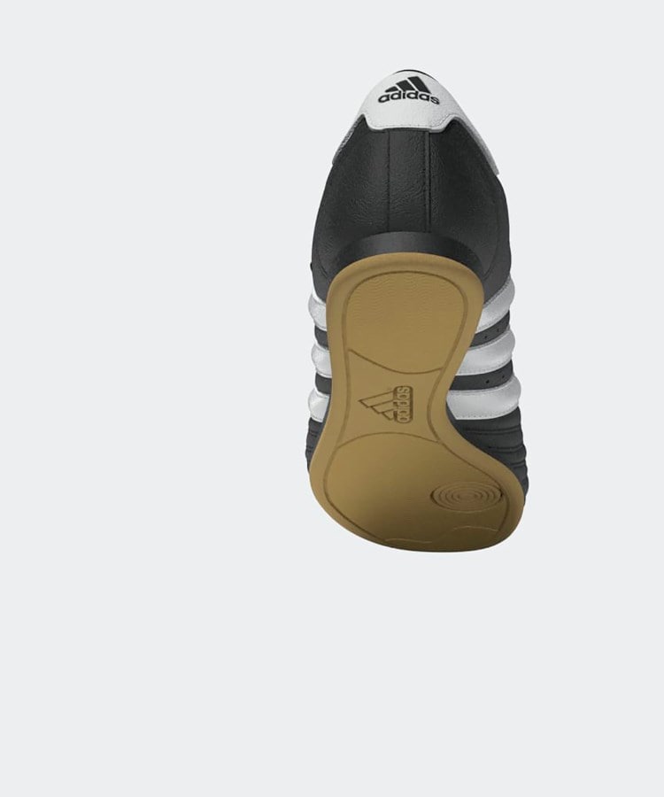 ドレステリア(レディース)(DRESSTERIOR(Ladies))のadidas（アディダス）Taekwondo テコンドー18