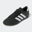 ドレステリア(レディース)(DRESSTERIOR(Ladies))のadidas（アディダス）Taekwondo テコンドー10