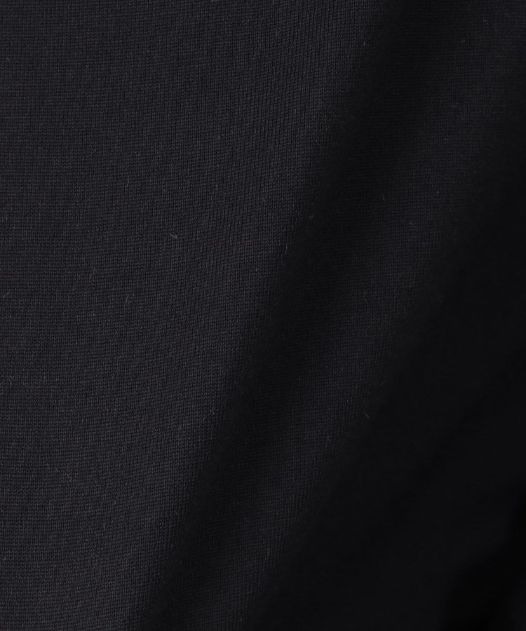 ドレステリア(レディース)(DRESSTERIOR(Ladies))の◆AURALEE（オーラリー）PIMA COTTON JERSEY ボートネックプルオーバー8