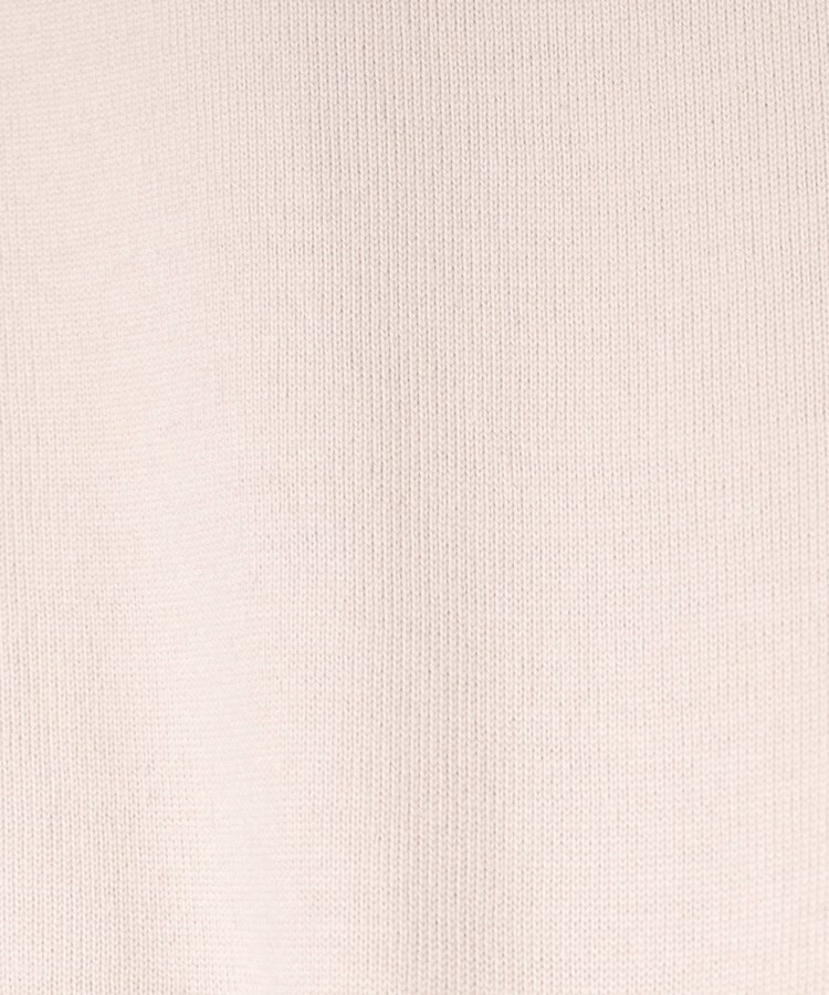 ドレステリア(レディース)(DRESSTERIOR(Ladies))の◆AURALEE（オーラリー）PIMA COTTON JERSEY ボートネックプルオーバー12