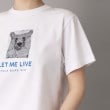 ドレステリア(レディース)(DRESSTERIOR(Ladies))のANGE IN DISGUISE （アンジ イン ディスガイズ）【別注カラーあり】しろくまTシャツ15