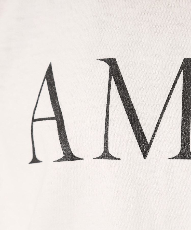 ドレステリア(レディース)(DRESSTERIOR(Ladies))のAmericana（アメリカーナ）袖ロールTシャツ4