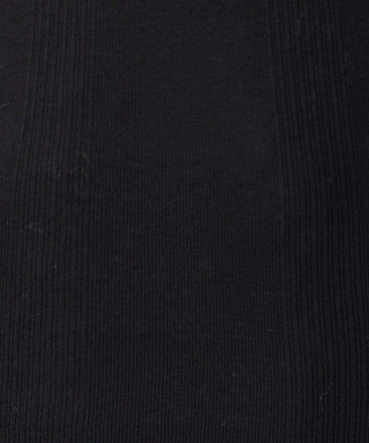 ドレステリア(レディース)(DRESSTERIOR(Ladies))のRobert．P．Miller（ロベルト・ピー・ミラー）822C パネルリブ H／S Tシャツ4