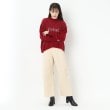 ルイシャンタン(Lui Chantant)の【洗える／裏起毛】カーブシルエットパンツ15