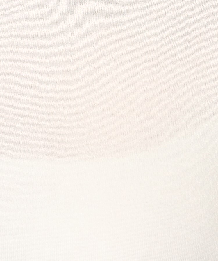 ルイシャンタン(Lui Chantant)の【接触冷感／洗える／日本製】Vネックカットソー10