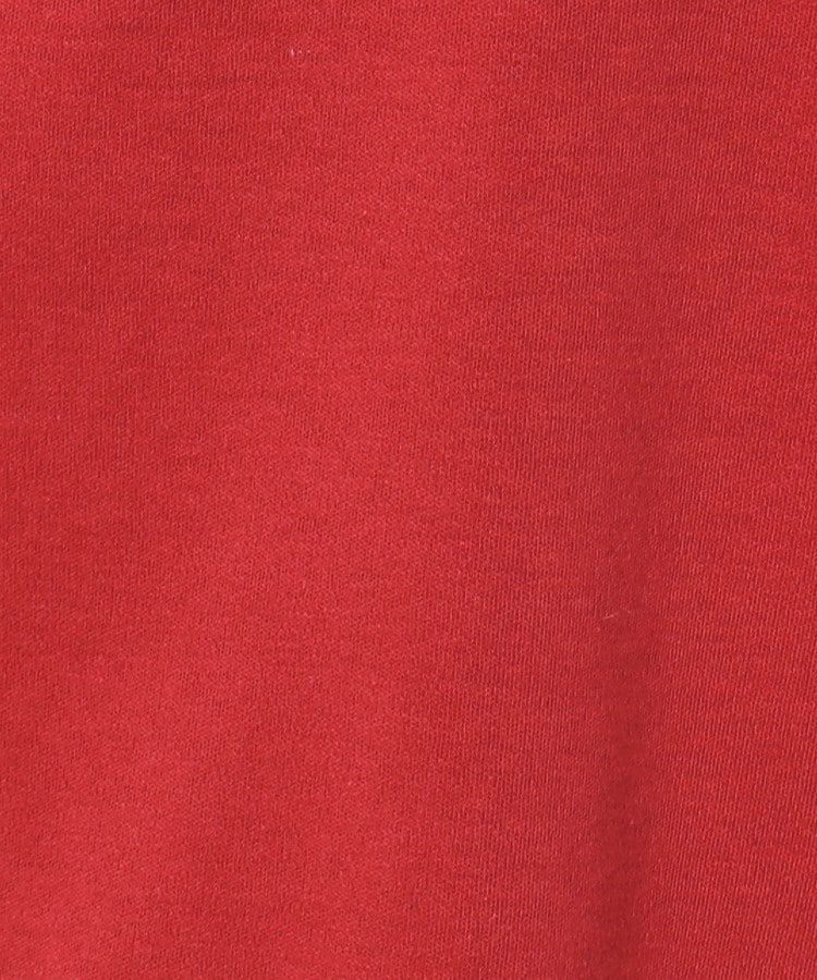 ルイシャンタン(Lui Chantant)の【洗える／無地／ボーダー】ジャージグラフィックTシャツ19