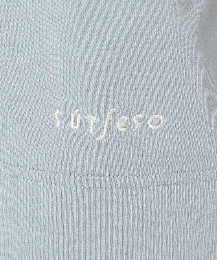 スチェッソ(SUTSESO　)の大人のベーシックTシャツ ニルスジャージ18