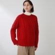 ザ ショップ ティーケー（ウィメン）(THE SHOP TK(Women))の◆【洗える/ウール混】ケーブル編みニット オレンジ(065)