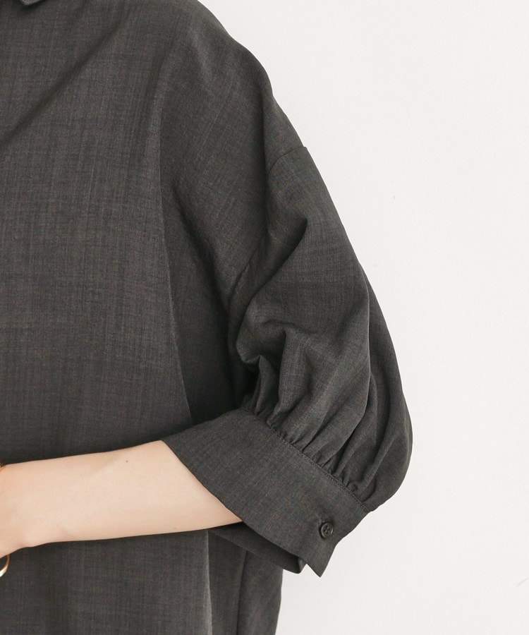 ザ ショップ ティーケー（ウィメン）(THE SHOP TK(Women))の麻調うしろギャザーブラウス5