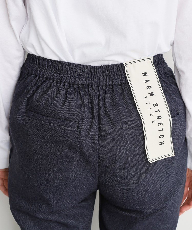 ザ ショップ ティーケー（ウィメン）(THE SHOP TK(Women))の【ラクでキレイ】ハイパーストレッチ裏起毛スティックパンツ/洗える21