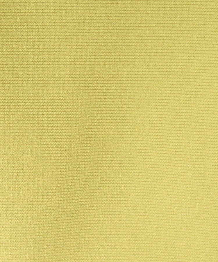 ザ ショップ ティーケー（ウィメン）(THE SHOP TK(Women))の【アンチピリング/洗濯機洗い可】美人ガーターニット29