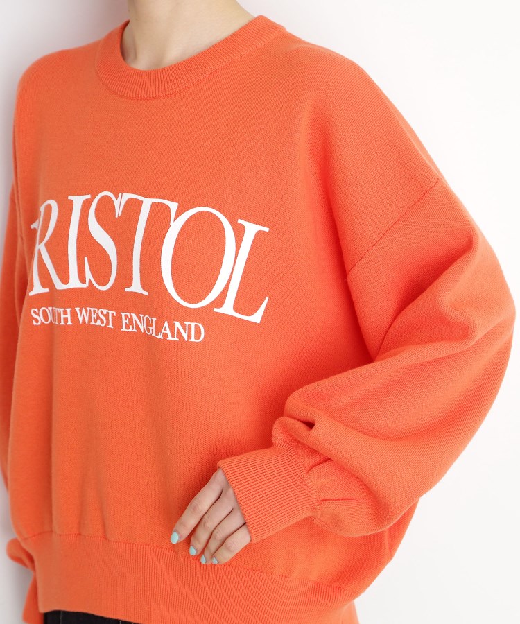 ザ ショップ ティーケー（ウィメン）(THE SHOP TK(Women))のスウェットライクロゴニット17
