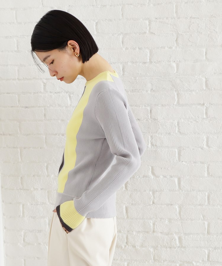 ザ ショップ ティーケー（ウィメン）(THE SHOP TK(Women))の配色リブニット【洗える】11