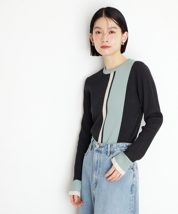 ザ ショップ ティーケー（ウィメン）(THE SHOP TK(Women))の配色リブニット【洗える】6