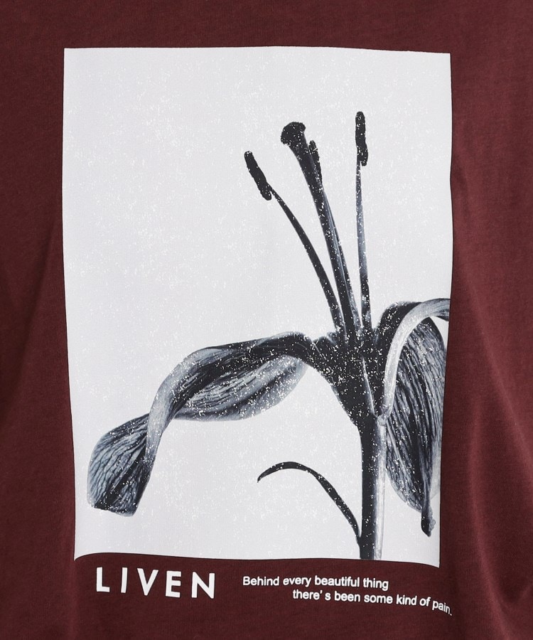 ザ ショップ ティーケー（ウィメン）(THE SHOP TK(Women))の布帛切替フォトTシャツ【洗える】12