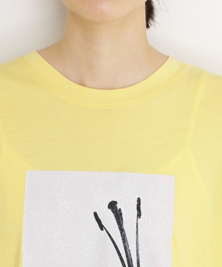 ザ ショップ ティーケー（ウィメン）(THE SHOP TK(Women))の布帛切替フォトTシャツ【洗える】16