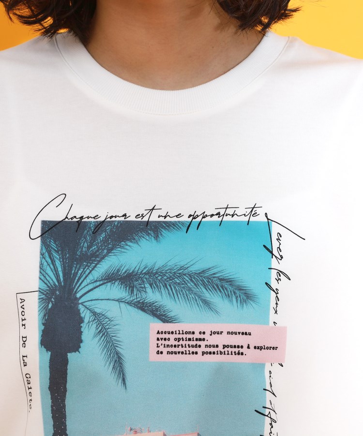 ザ ショップ ティーケー（ウィメン）(THE SHOP TK(Women))のフレンチフォトアソートTシャツ【接触冷感/UV/毛玉になりにくい/洗濯機OK】28