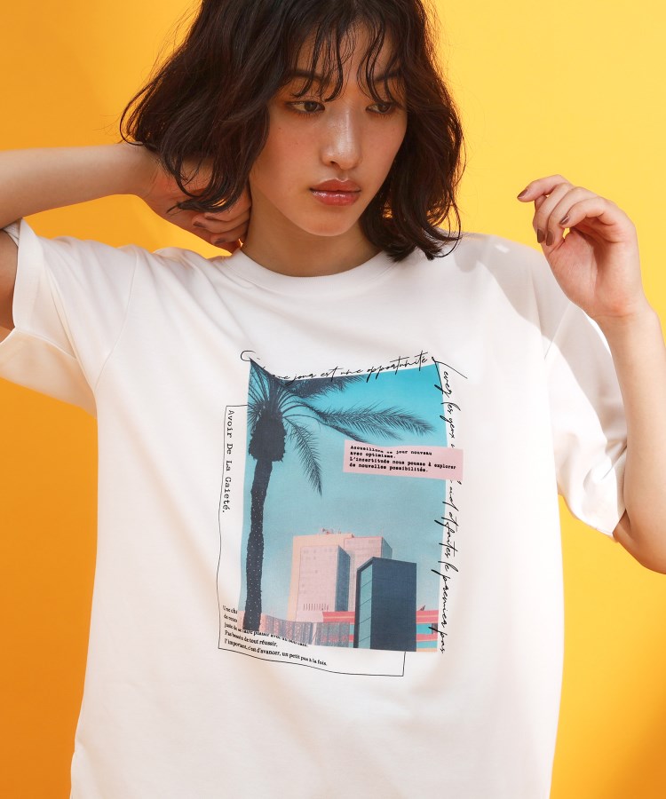 ザ ショップ ティーケー（ウィメン）(THE SHOP TK(Women))のフレンチフォトアソートTシャツ【接触冷感/UV/毛玉になりにくい/洗濯機OK】 オフホワイト(403)