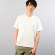タケオキクチ(TAKEO KIKUCHI)の◆【Sサイズ～】ハイゲージ フライス Vネック Tシャツ ホワイト(001)