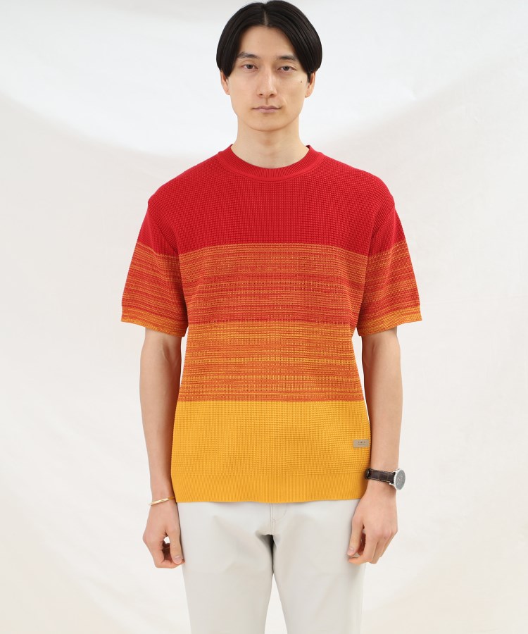 タケオキクチ(TAKEO KIKUCHI)の徳島 グラデーション ニットTシャツ2