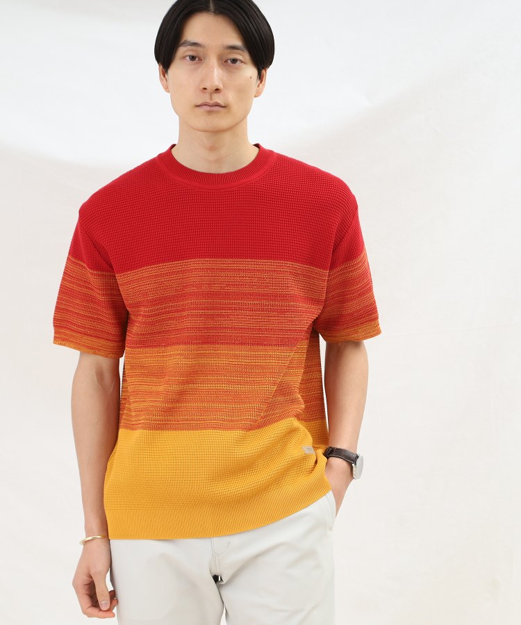 徳島 グラデーション ニットTシャツ（ニット/セーター） | TAKEO