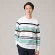 タケオキクチ(TAKEO KIKUCHI)のリップルパネルボーダーカットソー ホワイト(301)