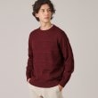 タケオキクチ(TAKEO KIKUCHI)の【Made in JAPAN】編地切替 プルオーバーニット10