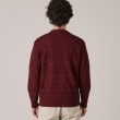 タケオキクチ(TAKEO KIKUCHI)の【Made in JAPAN】編地切替 プルオーバーニット16