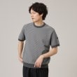 タケオキクチ(TAKEO KIKUCHI)の【Made in JAPAN】和紙 ボーダーニットTシャツ チャコールグレー(314)