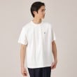 タケオキクチ(TAKEO KIKUCHI)のワンポイント カラー刺繍 Tシャツ ホワイト(001)