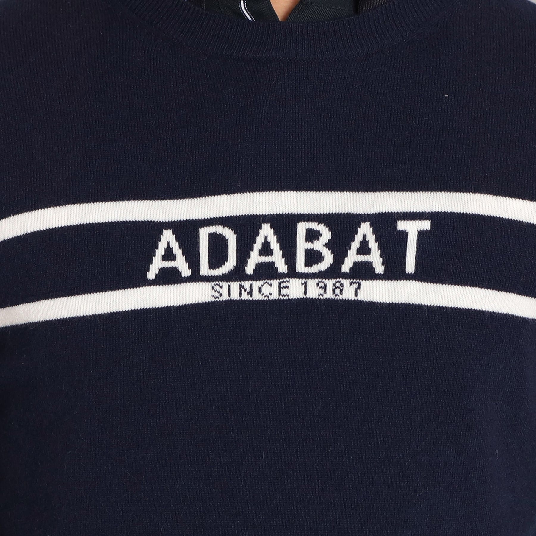 アダバット(メンズ)(adabat(Men))のロゴデザイン クルーネックセーター19