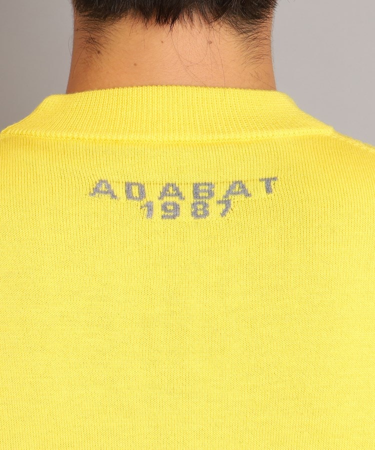 アダバット(メンズ)(adabat(Men))のロゴデザイン ボトルネックセーター32