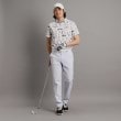 アダバット(メンズ)(adabat(Men))の【吸水速乾】リゾートゴルフデザイン 半袖ポロシャツ3