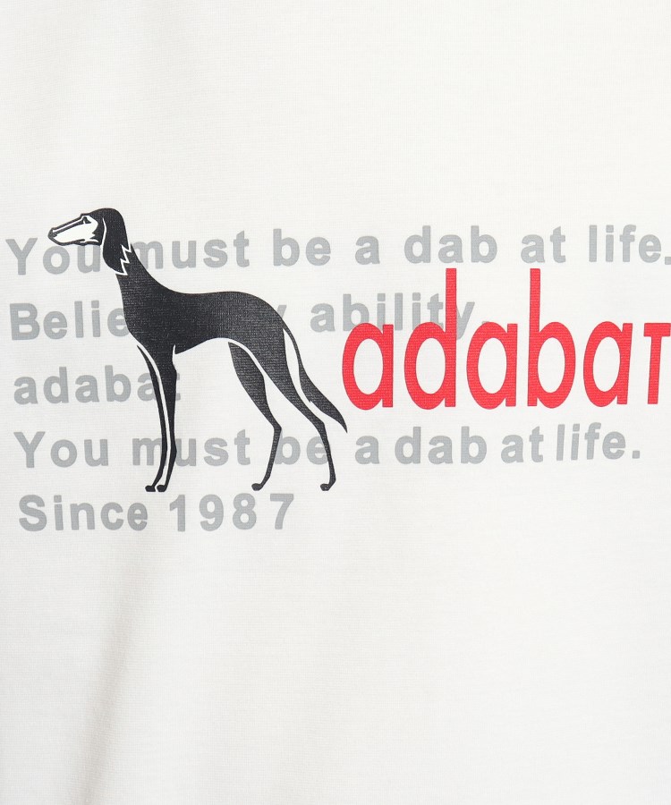 アダバット(メンズ)(adabat(Men))のサルーキロゴデザイン 半袖Tシャツ4