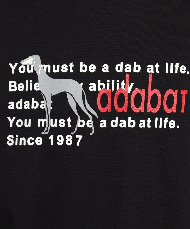 アダバット(メンズ)(adabat(Men))のサルーキロゴデザイン 半袖Tシャツ8