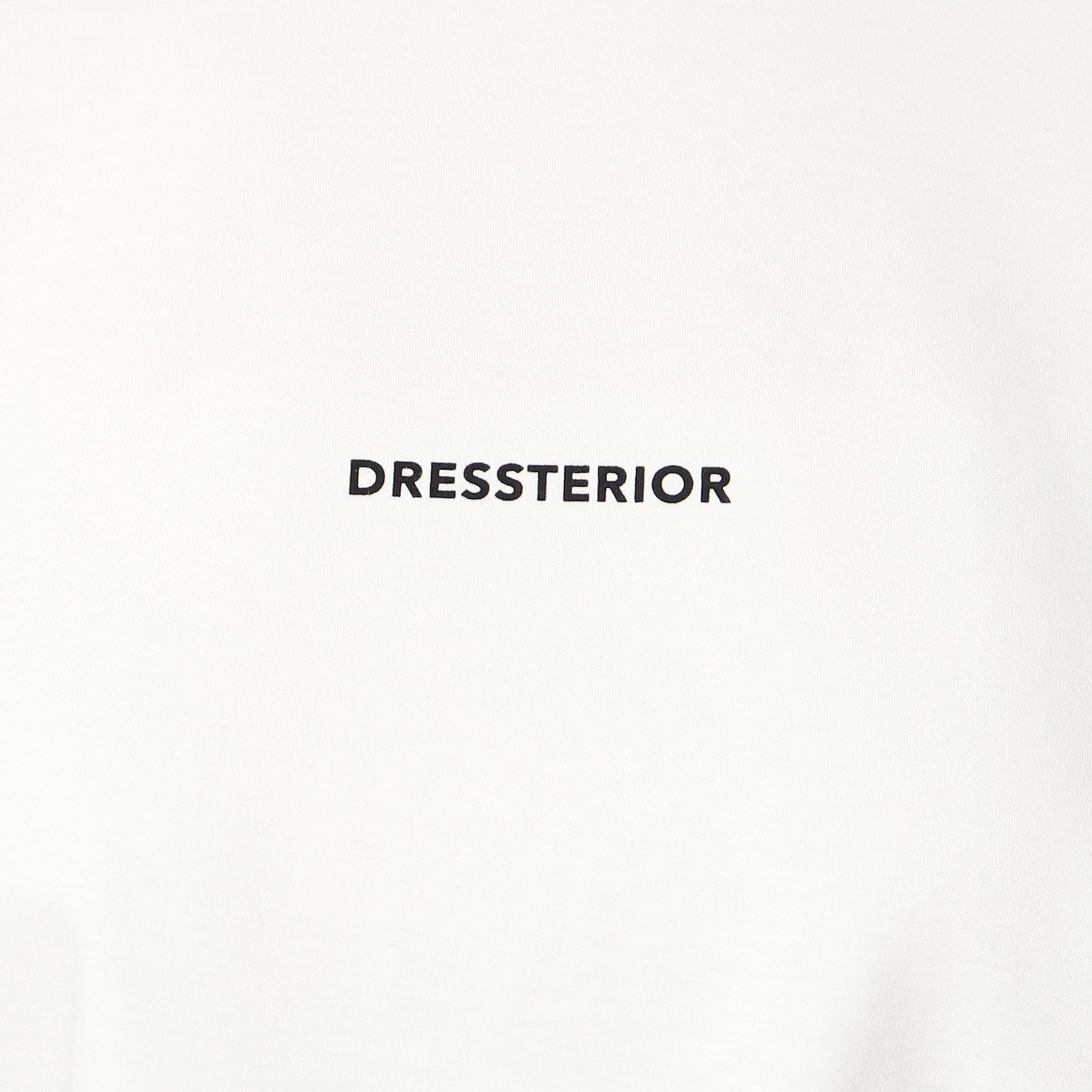 ドレステリア(レディース)(DRESSTERIOR(Ladies))のオーガニックスムース長袖ロゴTシャツ22